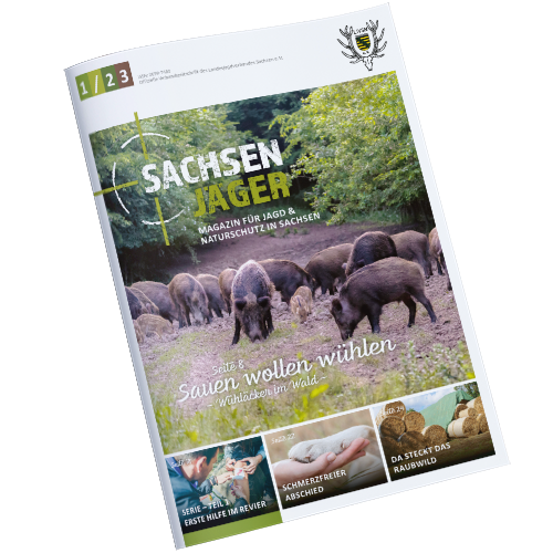 Cover Sachsenjäger Ausgabe 01/2023