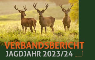 Der DJV hat jetzt seinen Verbandsbericht für das Jagdjahr 2023/24 (1. April bis 31. März) veröffentlicht. Quelle: DJV