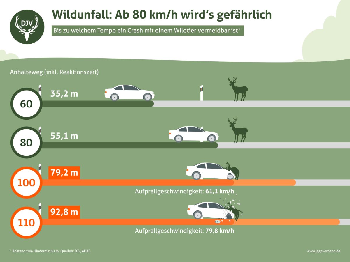 Tempo 80 statt 100 verkürzt den Bremsweg bereits um etwa 25 Meter.

Quelle: DJV